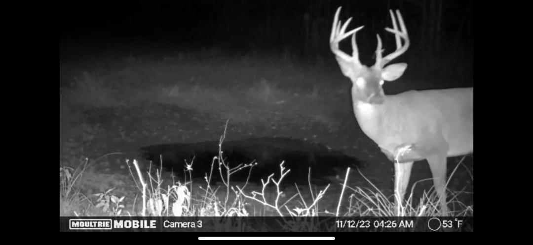 550 Acres in Chickasaw County, MS 