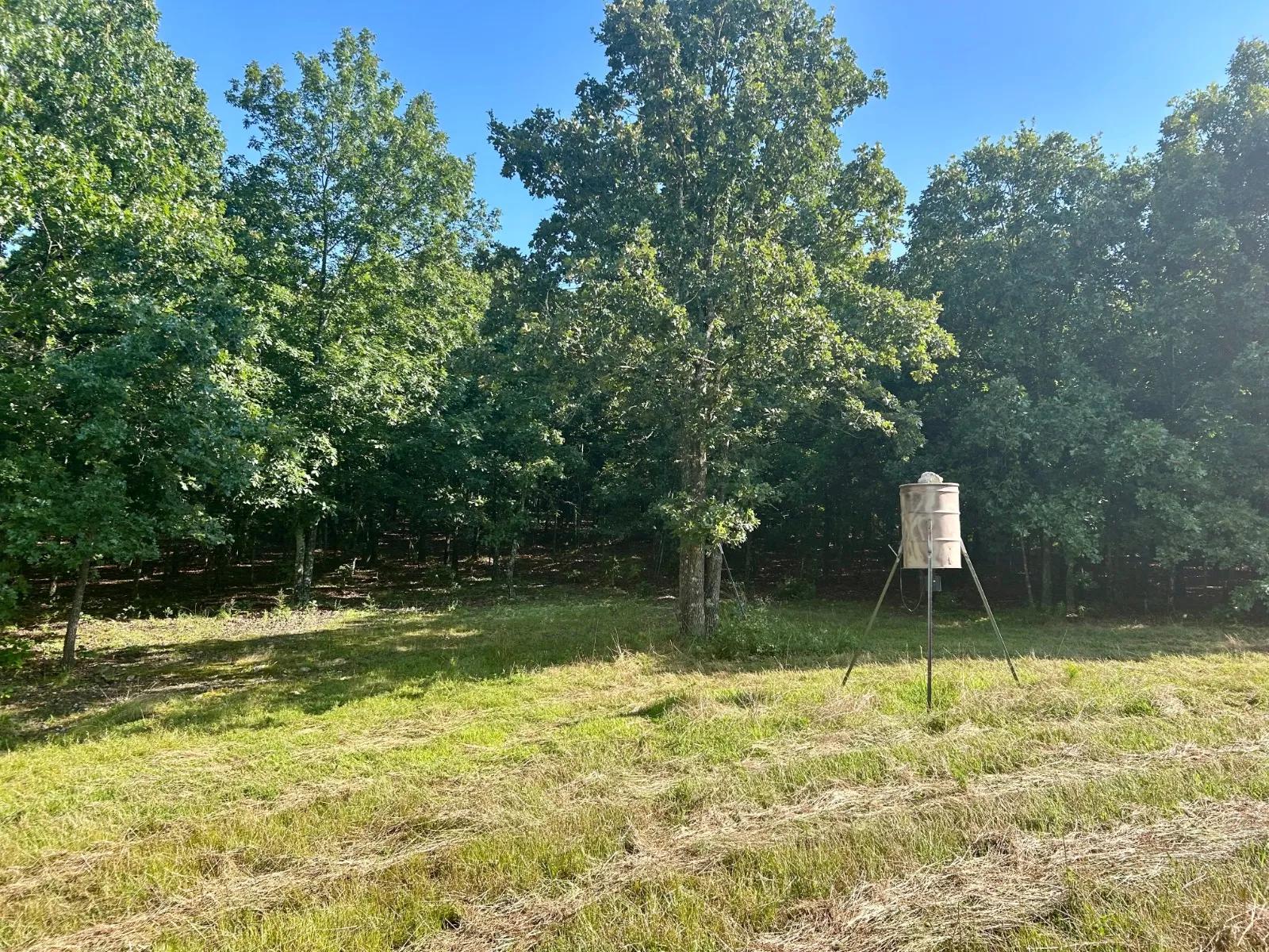 97787165-7