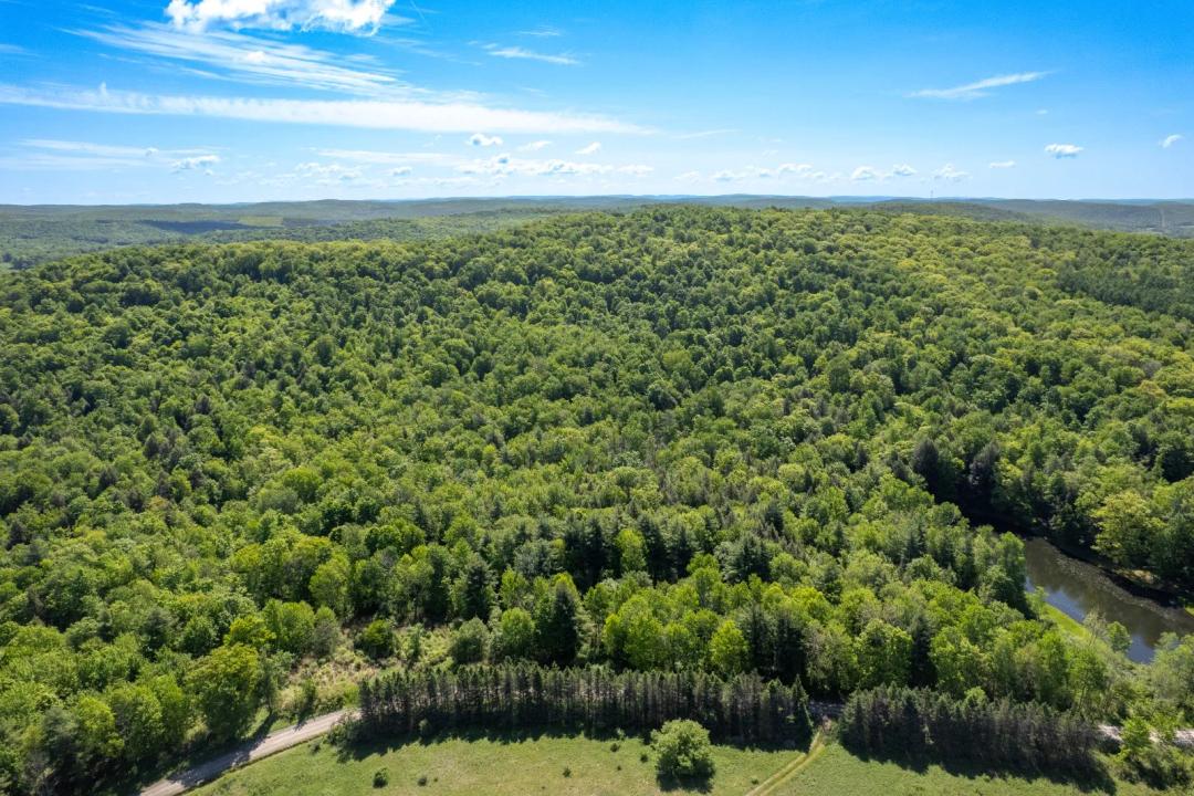 Over 25 Acres in Upstate NY