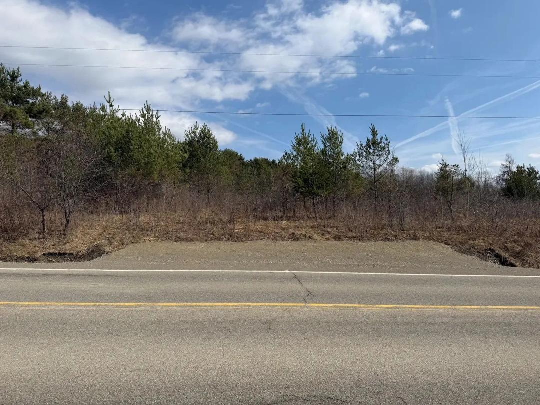 10 acres Hunting and Recreational Land with Building Site in Friendship NY White Creek Rd