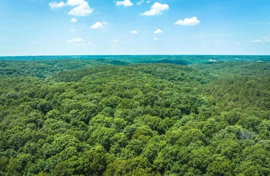 Huckleberry Ridge 25
