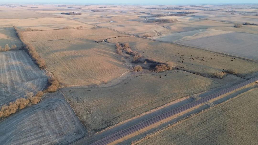 Turner County, SD 195 Acres