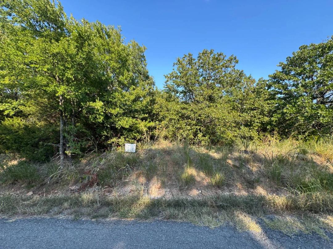 0.34 Acres at 00 Arrowhead Dr