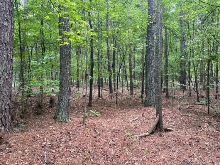 +/- 6.46 Acres – Tract 5 On Clatworthy Road in Honea Path, SC