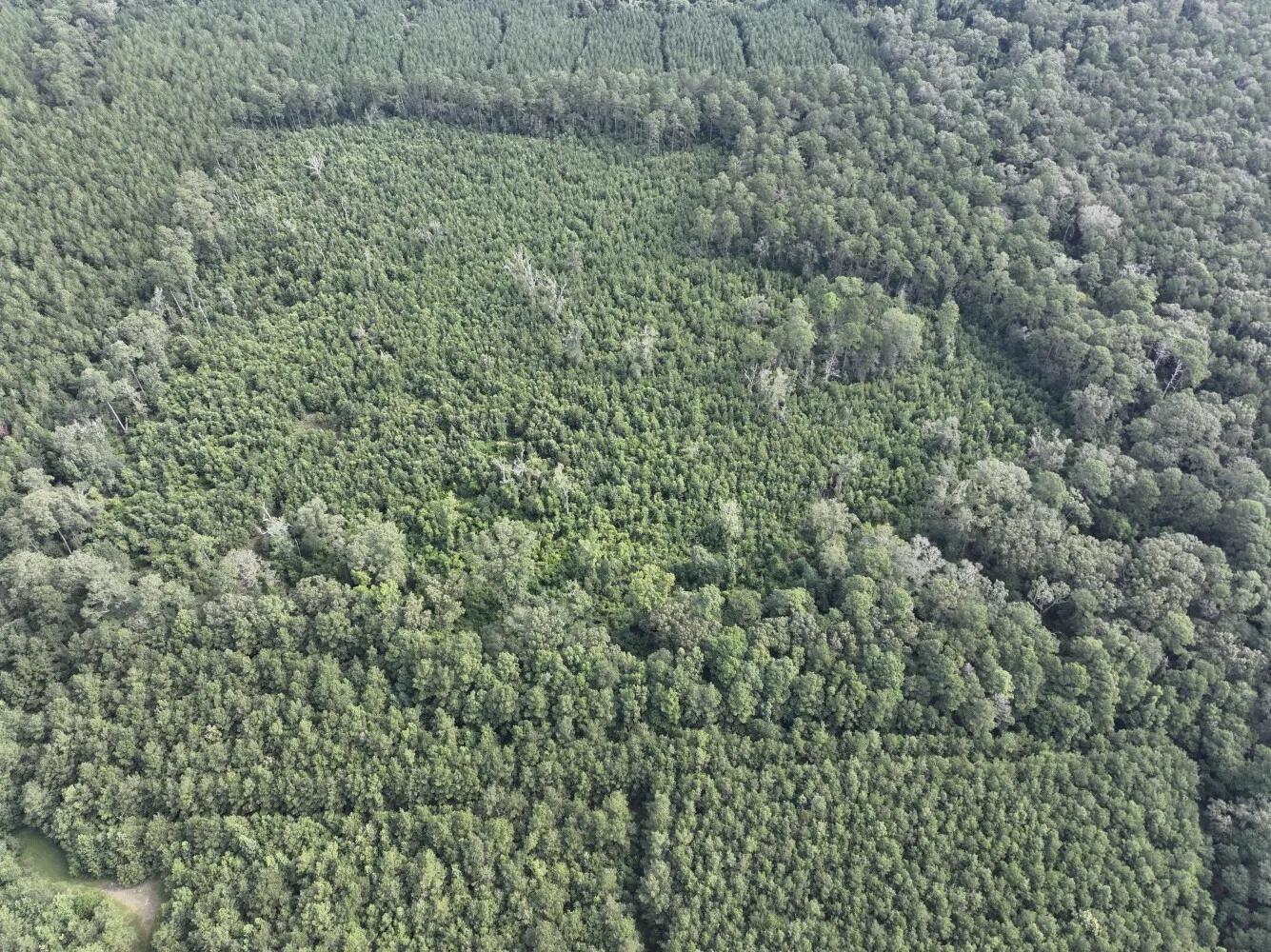 97858735-0