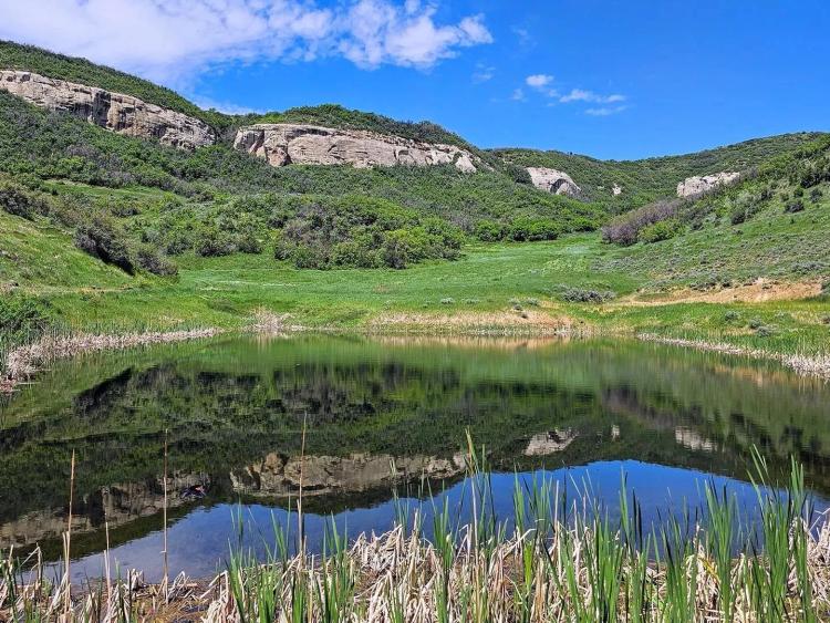 Papoulis Canyon Ranch