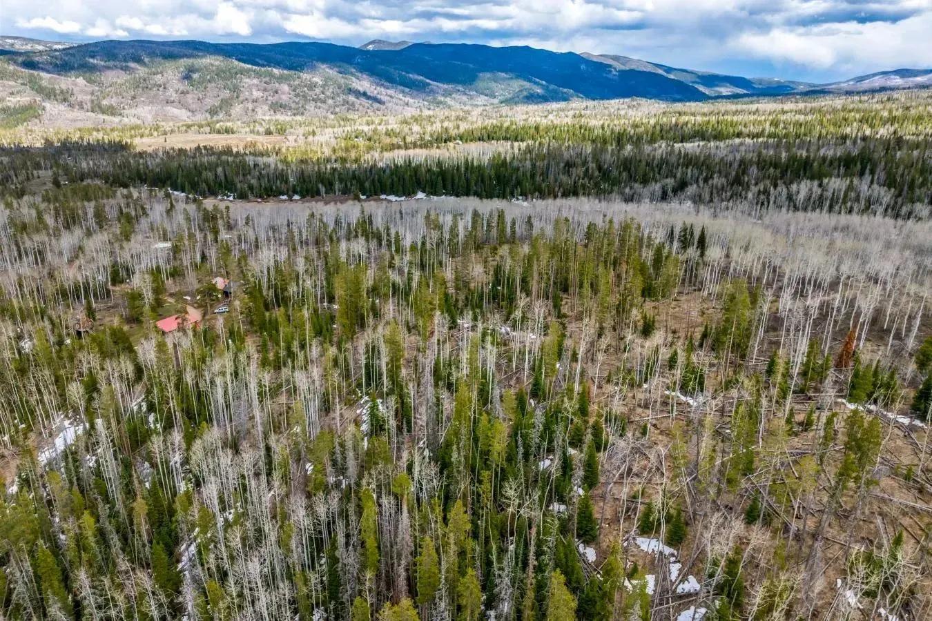 97896876-5