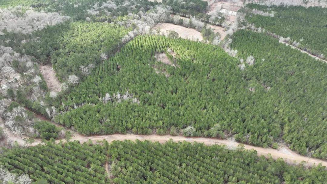 Breland Road Southwest Timber Tract, LaSalle Parish, 17.43 Acres +/-