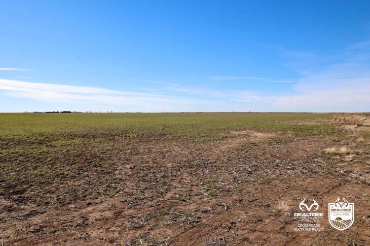 Kansas Farmland and Pasture Land Auction in Sumner County