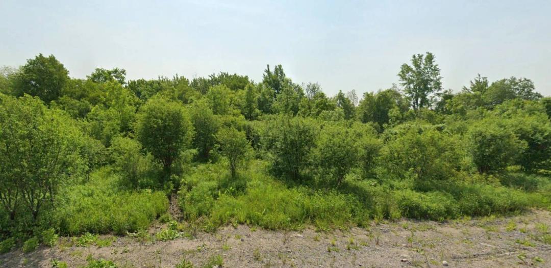 5.9 Acre Newly Surveyed Building Lots for Sale, Theresa, NY!