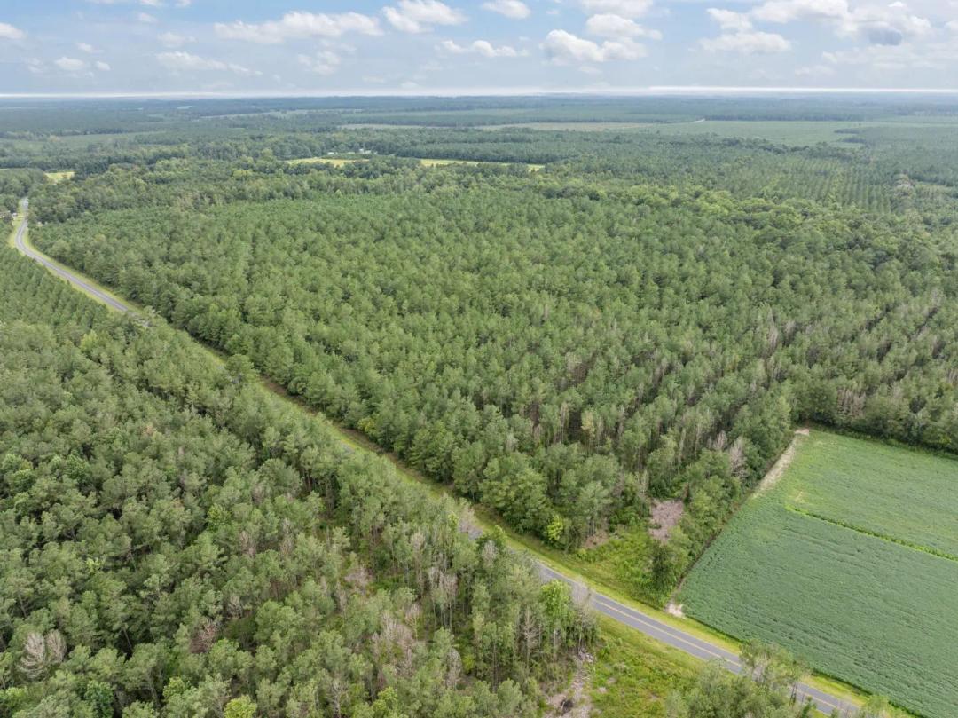 42-Acre Timber & Hunting Land for Sale in Edward, NC