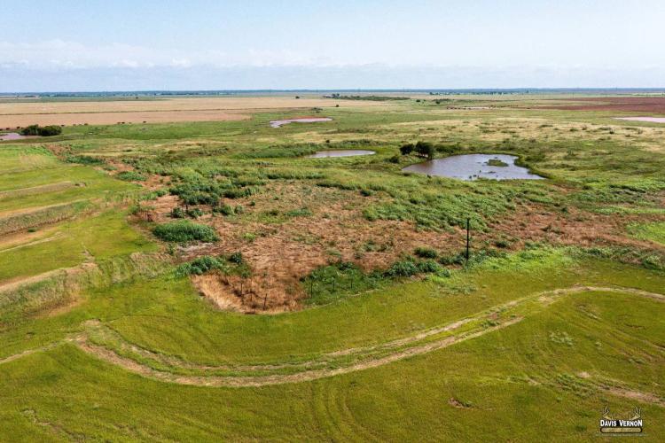 Wilbarger 80