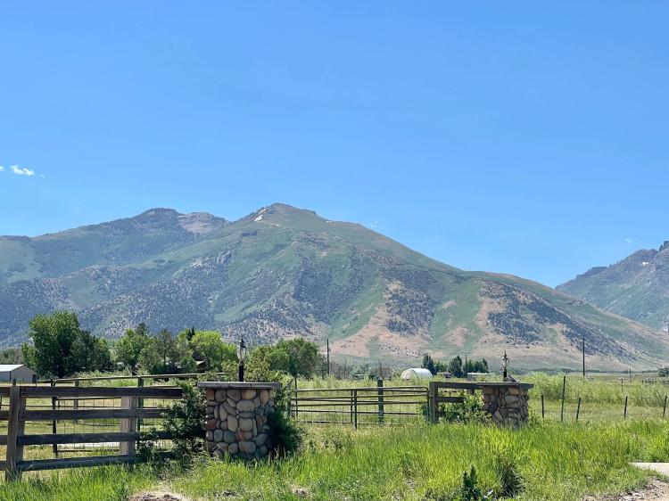 3.68 acres of Developed Land with"Nevada's Yosemite" Views.
