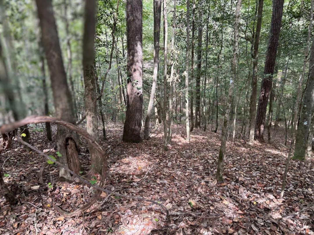 94+- acres on Rose Hill Road