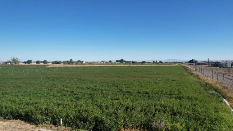 Fruitland Acreage Parcel 2