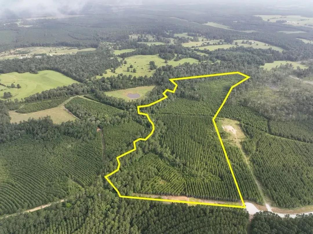 38 Acres | Cody Road