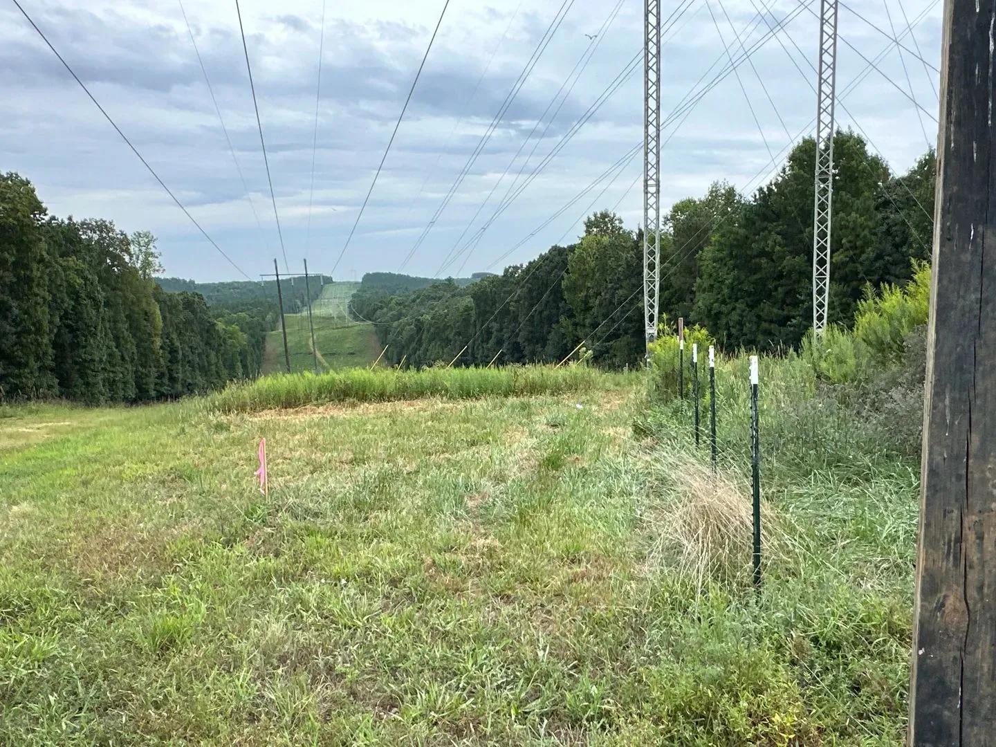 98003586-6