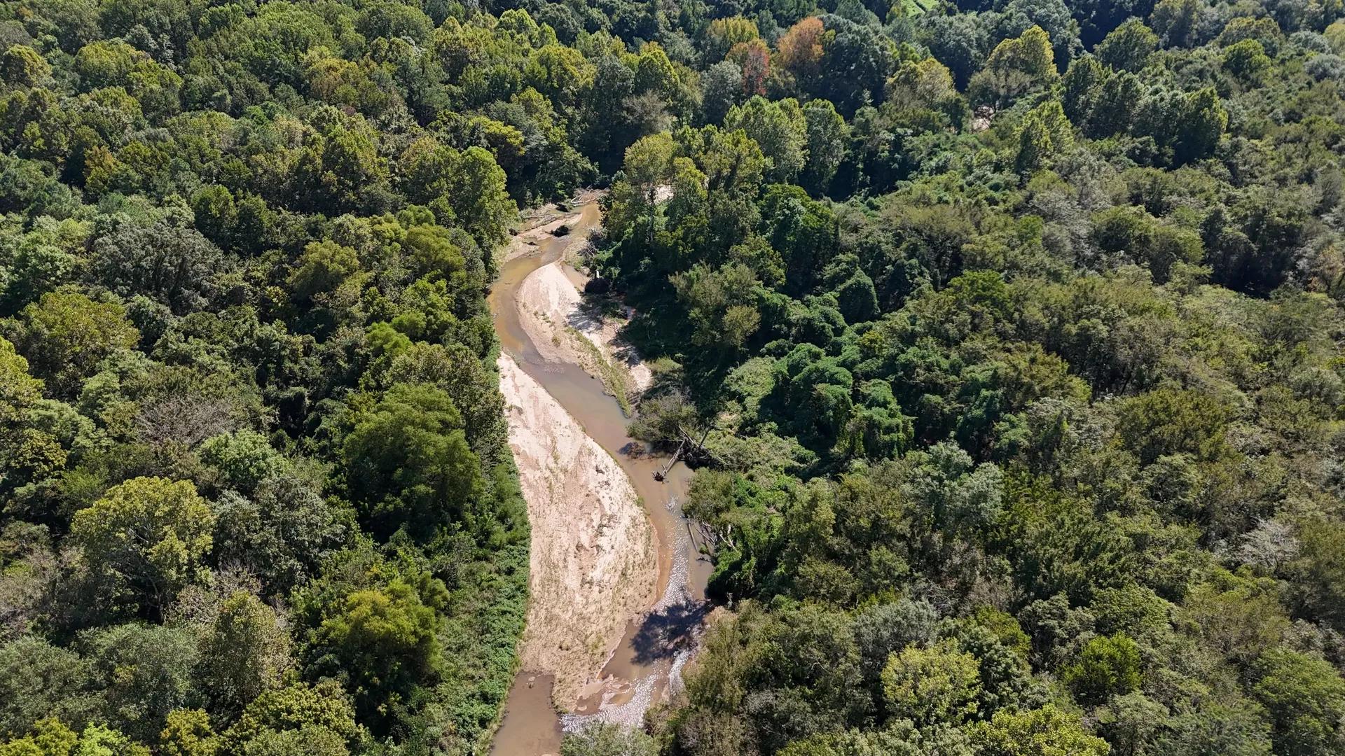 98015394-4