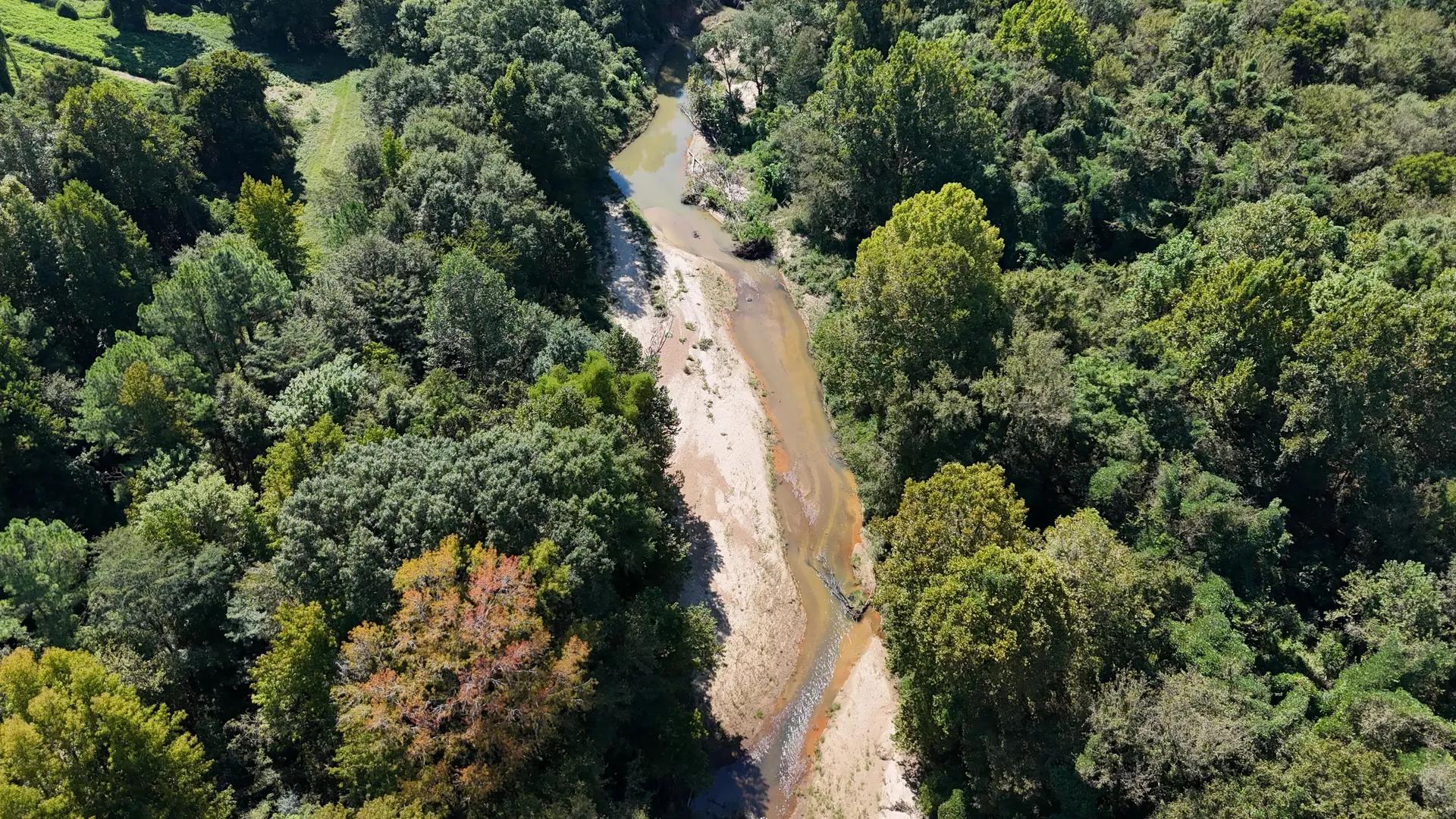 98015394-7