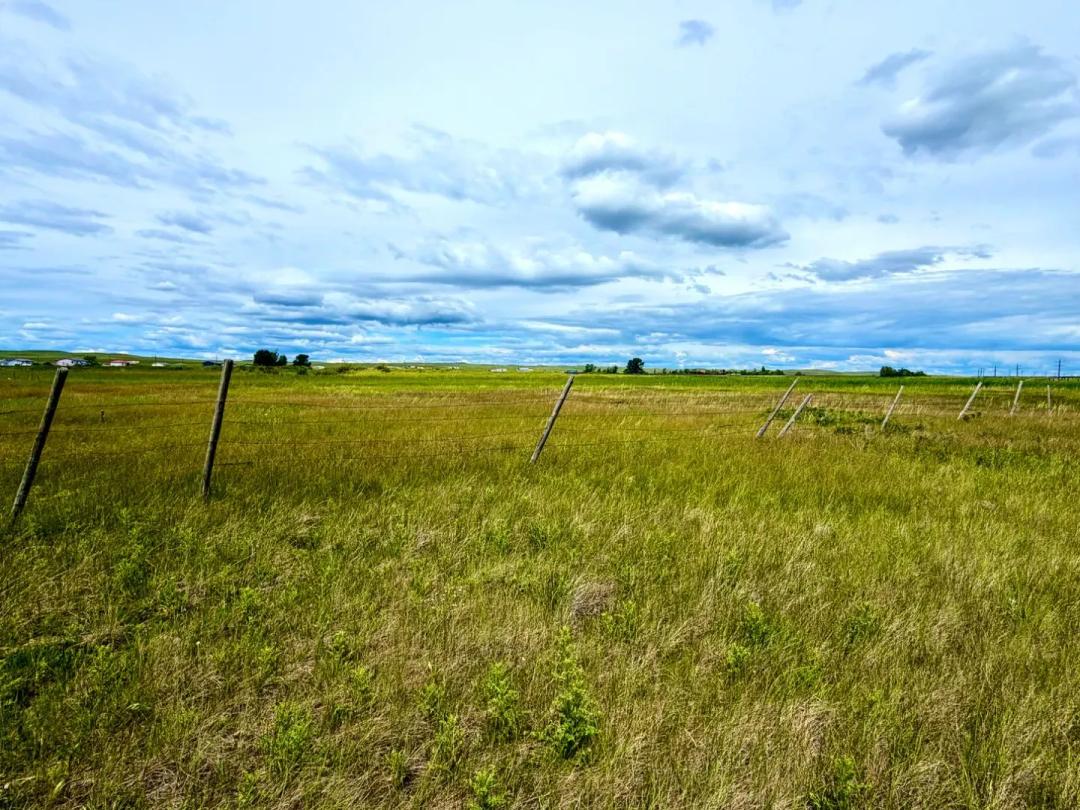 Large Lot Near East Glacier
