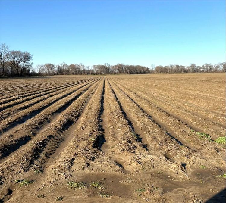 91.4 Acres in Sharkey County in Anguilla, MS