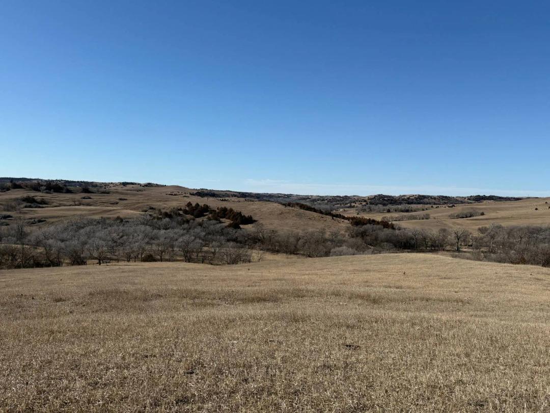 Recreational Tract Just Minutes From Lake Francis Case!