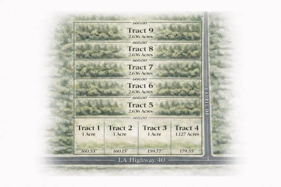 Large Country Homesite Lot 6