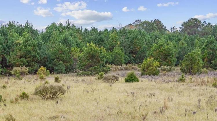 Lot 8 Creek Landing Road