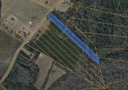 98069892-1