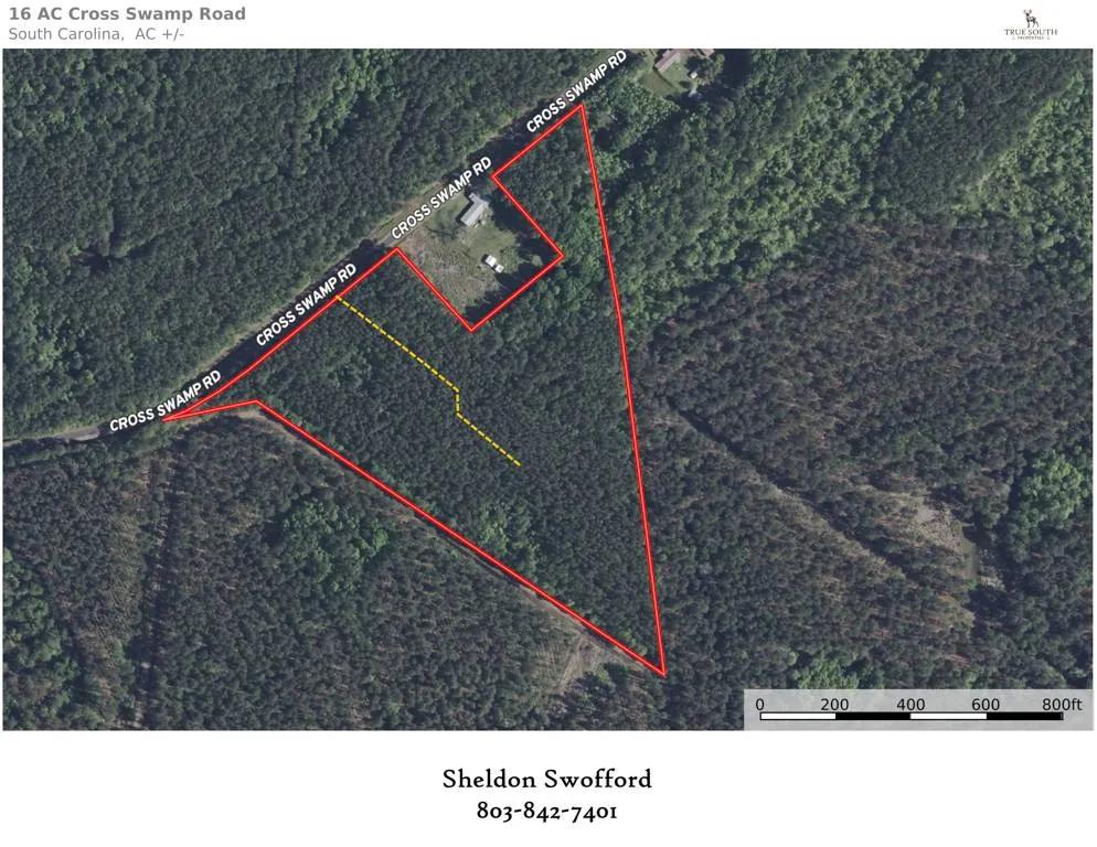 Recreational / Timberland Colleton County