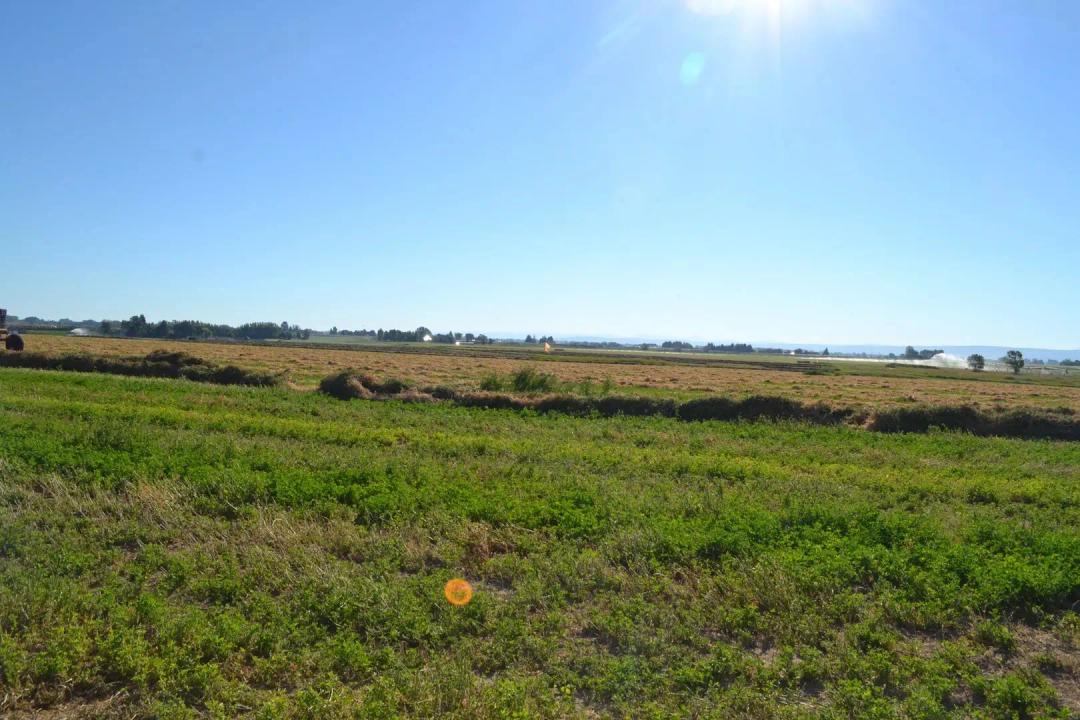 50Acres West of Idaho Falls