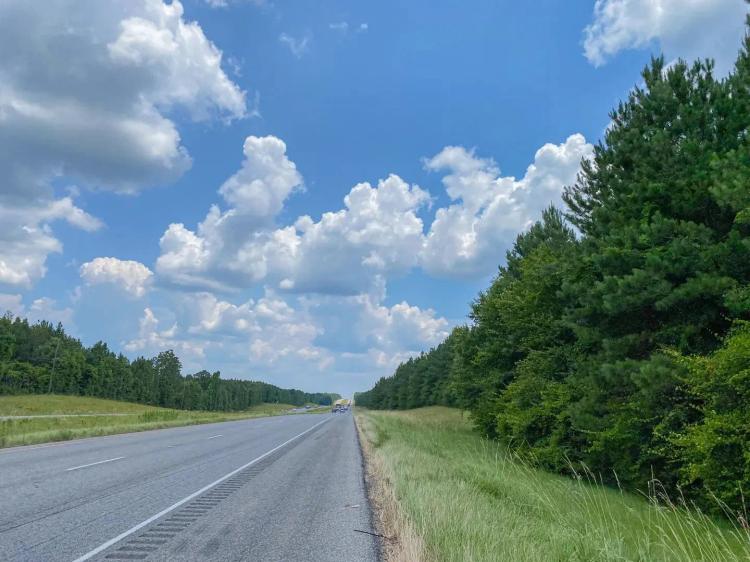 411 Acres | Hwy 59