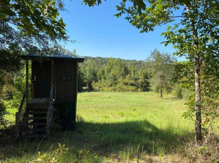 60 Acres - Bibb Co. - The LM Tract