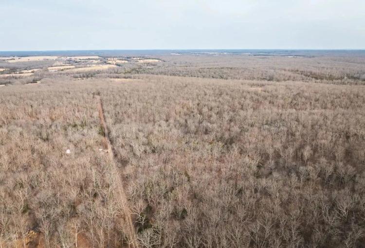 County Line Deer Camp