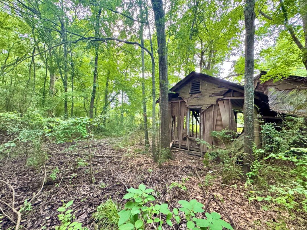Lot on Rock Rd in Sicily Island, LA