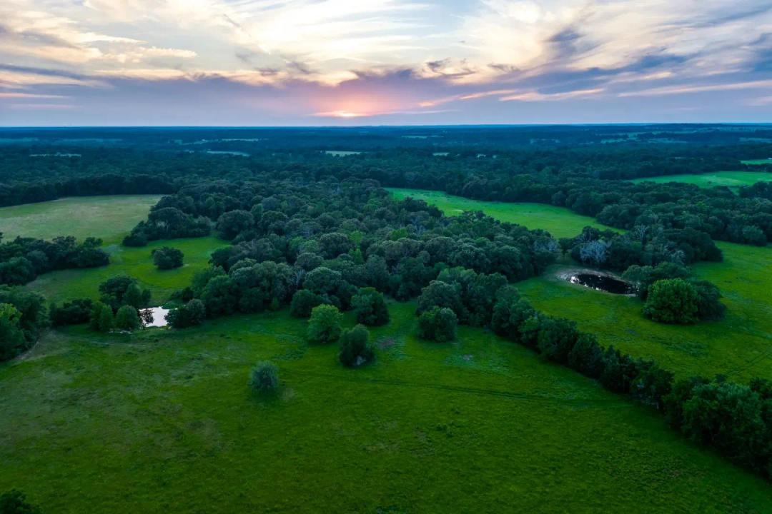Holly Springs Ranch