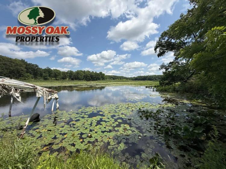 40 +/- ACRES / 9402 SR17 PLYMOUTH, IN 46563 / 12' X 30' UTILITY SHED / FISHING / HUNTING / LAND FOR SALE