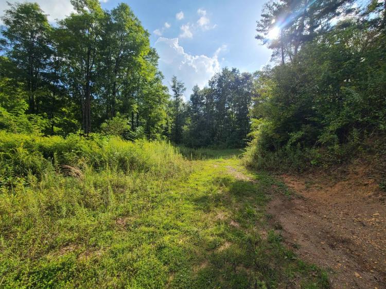  br,  bth, 92.00 Acres. Rainelle  WV