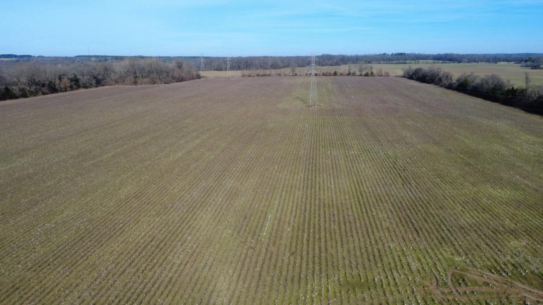 62.00 Acres at 353 Cotton Grove Rd