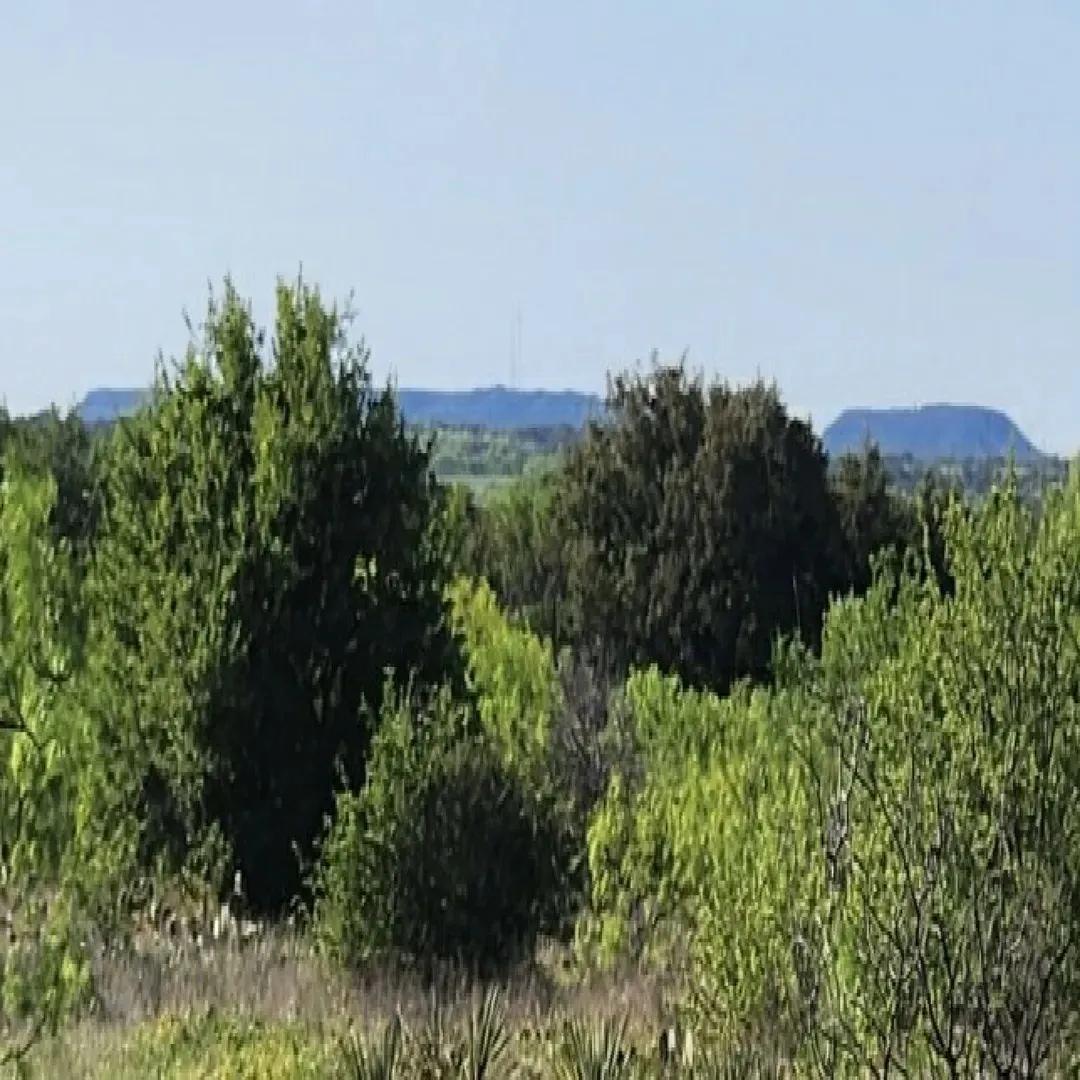 98253433-2