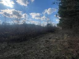 98298549-4