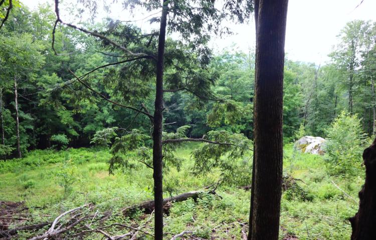 20.20 Acres at 0 Schroon River Rd