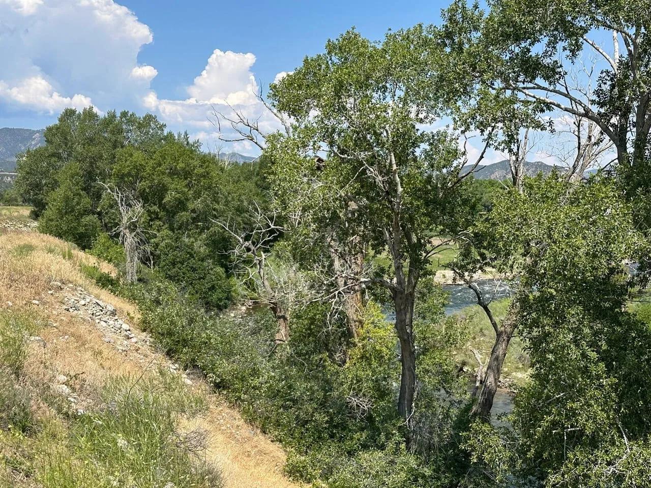 98299309-26