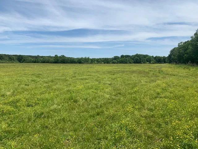 26.40 Acres at 0 US Hwy 32
