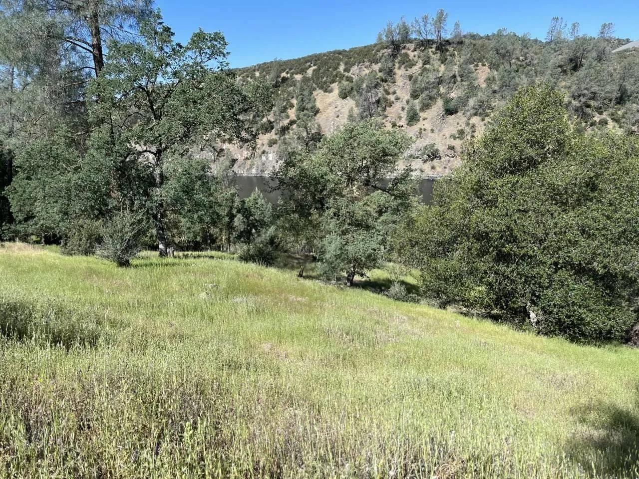 98315378-12