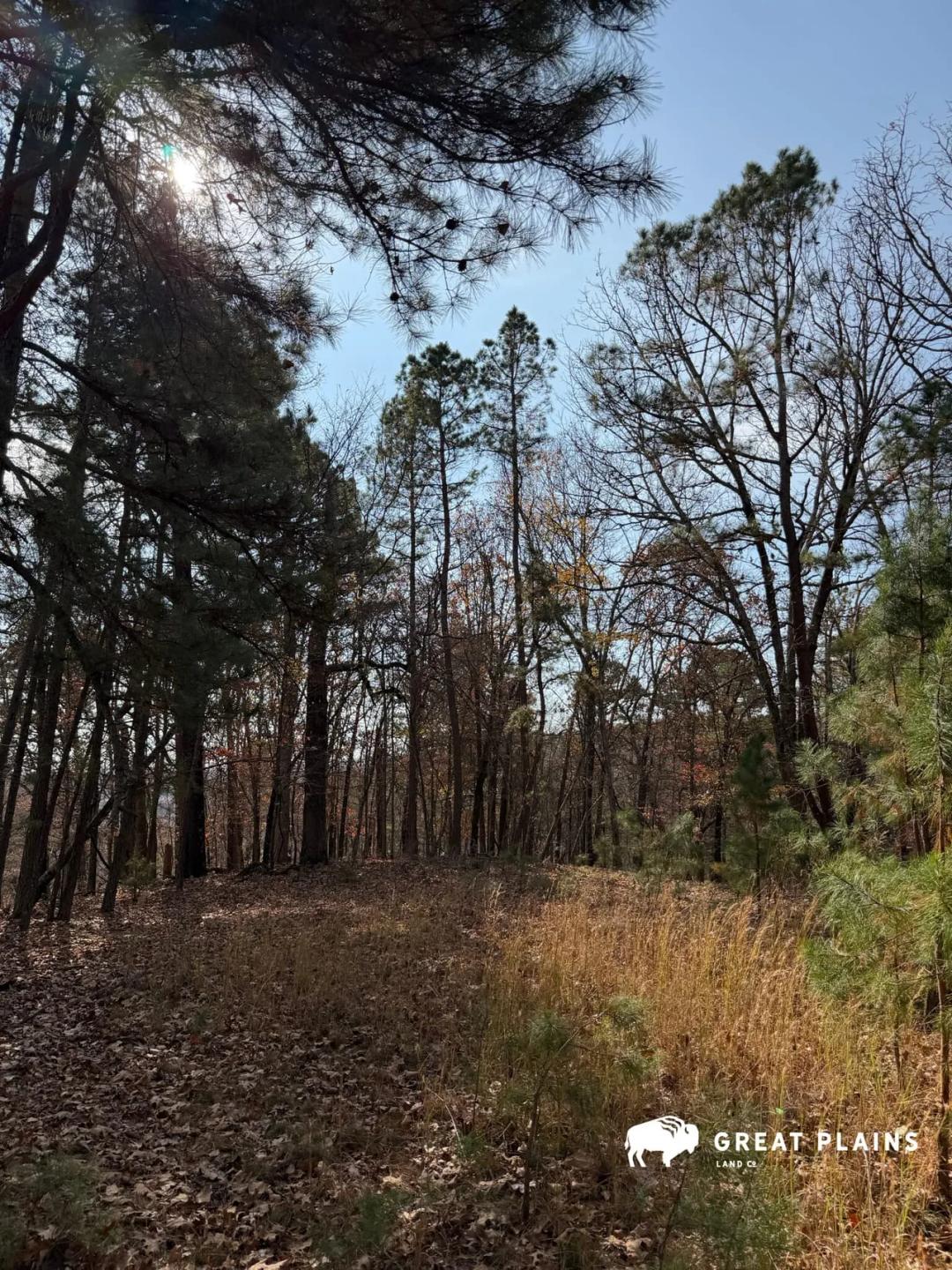 Flint Ridge 2 Acres