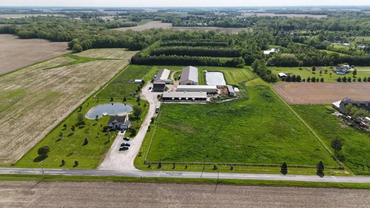 Hill Farm