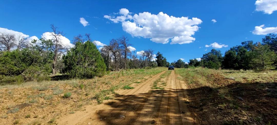 Pine Meadows Ranch - Trees - Camp - RV - Build