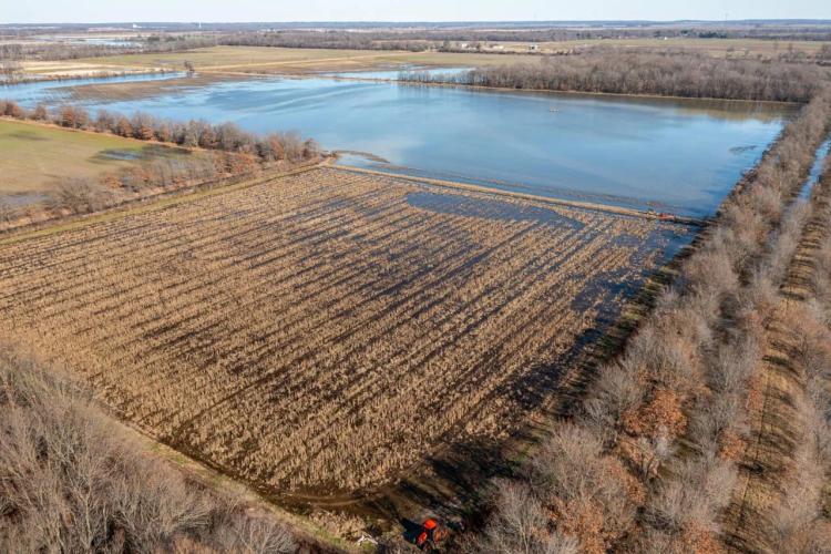 104 +/- Duck Hunting Property with Row Crop, Otwell, Craighead County, AR