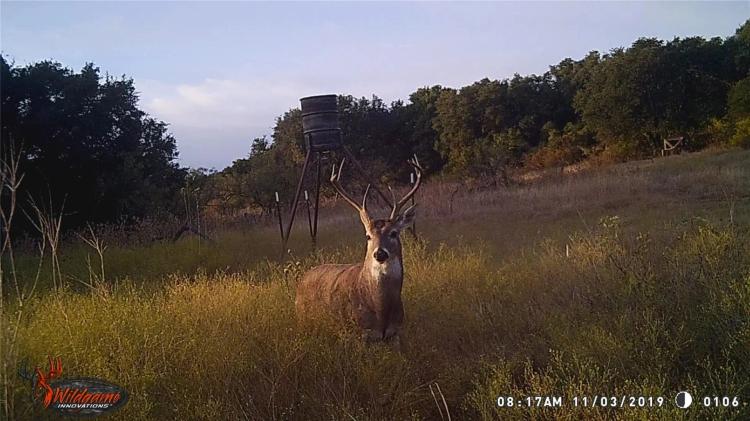Price Reduction!!! 100+/- Acres, Coleman County